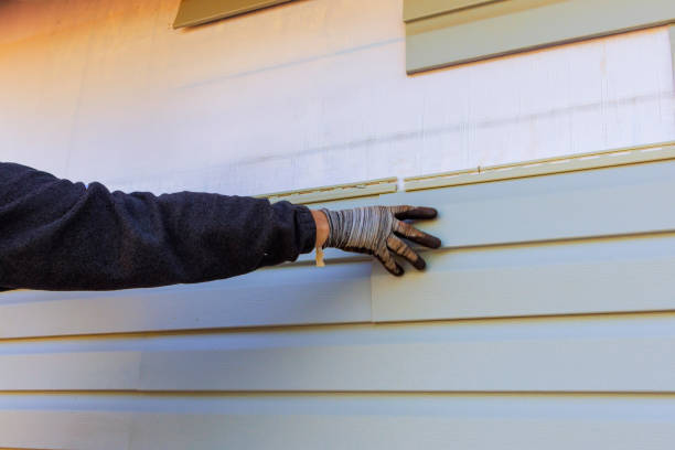 Best Siding Painting and Refinishing  in Lafayette, CA